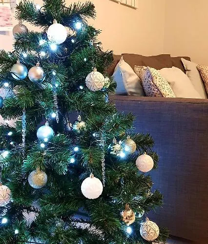 Dzīvoklis Park View Library *